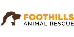 Foothills Animal Rescue